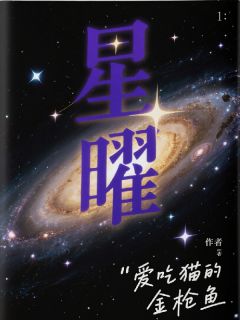 快手热推星曜小说主角沈砚苏晴陈锋在线阅读