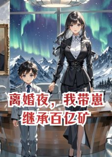 离婚夜，我带崽继承百亿矿(苏晚傅承洲苏念安)全文完整版阅读-暗夜阅读网