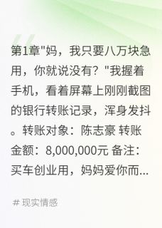 好文热推小说婆婆给小叔子买豪车给我转账八块主角陈志豪王秀兰志强全文在线阅读