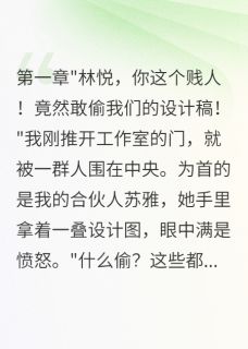 合伙人偷走我千万设计费后悔疯苏雅陈浩林悦全章节目录免费阅读