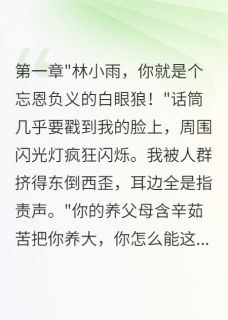 我用真相撕碎了他们的谎言章节全目录 小雨宋雨晨林国强全文免费阅读