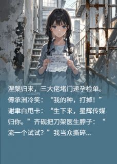 涅槃后，三个大佬争当接盘侠齐砚傅承洲小说全章节最新阅读-暗夜阅读网