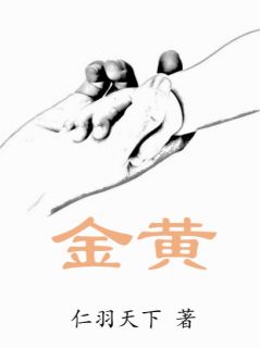 金黄小说(完结版)-穆琳小佑嘉李涛在线阅读