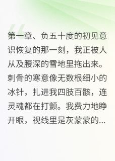 佚名的小说凛冬已散尽，星河尽长明主角是萧玦苏清颜