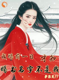成婚前一日，才知婚书名字不是我(全章节)-沈望舒君珩在线阅读