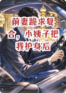 前妻跪求复合，小姨子把我护身后周晓周娜林辉全章节目录免费阅读