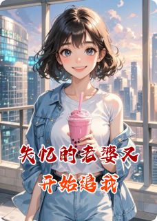 高质量小说失忆的老婆又开始追我在线试读-暗夜阅读网