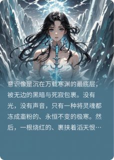冰封万年？我携怨念掀翻这仙途沈烬幽蓝大结局小说全章节阅读-暗夜阅读网
