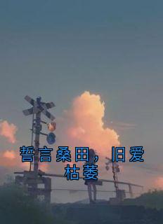 誓言桑田，旧爱枯萎林芳蓉傅年全章节目录免费阅读-暗夜阅读网