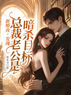 免费完结小说新婚夜，发现总裁老公是暗杀目标！路凄冉鹰隼决无弹窗免费阅读