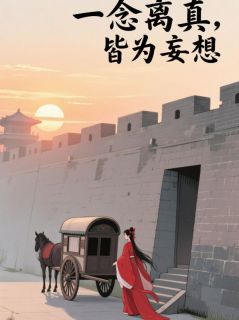 (热推新书)一念离真，皆为妄想墨影沈砚舟无弹窗阅读