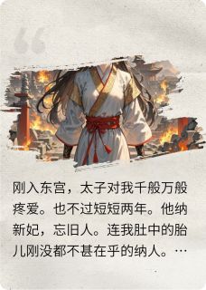 不做太子妃后我开始习武李唤云阿英-玹叶小说
