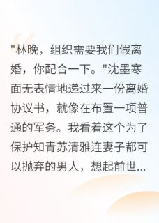 假离婚后我带着八万块改嫁了（沈墨寒李志强林晚）精彩小说目录阅读