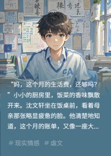 母亲挣钱不够花，家里开销太大了沈文轩李秀兰小说全文-母亲挣钱不够花，家里开销太大了小说-暗夜阅读网