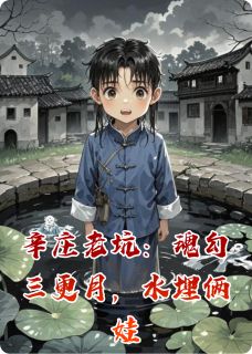辛庄老坑：魂勾三更月，水埋俩娃免费阅读全文，主角六姥赖渣儿坑边小说完整版-暗夜阅读网