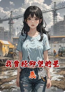 【我曾经仰望的星辰】小说在线阅读-我曾经仰望的星辰免费版目录阅读全文-暗夜阅读网
