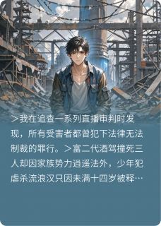 熬夜也要看完的正义悖论：判官的终局直播小说推荐