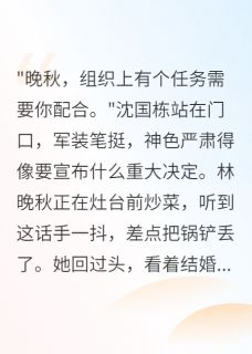 快手沈国栋林晚秋主角的小说全本章节大结局