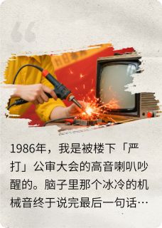 重生1986：电烙铁熔断全家死局丁磊李焕娣大结局小说全章节阅读