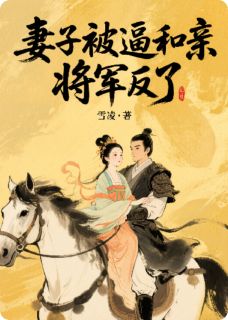 【妻子被逼和亲,将军反了】小说在线阅读-妻子被逼和亲,将军反了免费版目录阅读全文-暗夜阅读网