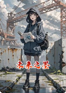 未来之墨小说的书名是什么-暗夜阅读网