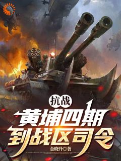 全章节小说抗战：黄埔四期到战区司令金晓升最新阅读