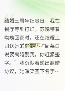 完整版前妻跪求复婚，我会怎么样林琛苏晚周慕白小说免费在线阅读-暗夜阅读网