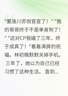 顶流官宣后我晒出三年结婚证免费阅读全文，主角林初晚夏洛川小说完整版-暗夜阅读网