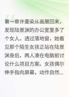她抢了我的位置我抢了她的人小说全集(许墨染陆景渊程雨菲)无弹窗广告阅读