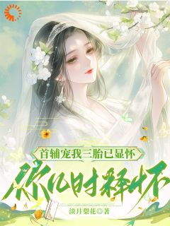 首辅宠我三胎已显怀，你几时释怀by叶听瓷凌玄肃在线阅读