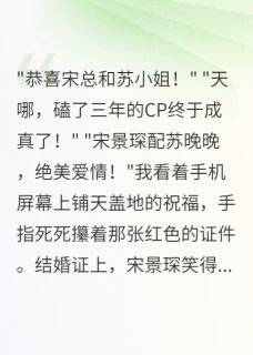 宋景琛小音苏晚晚小说老公官宣别人，我直播晒证书全文阅读