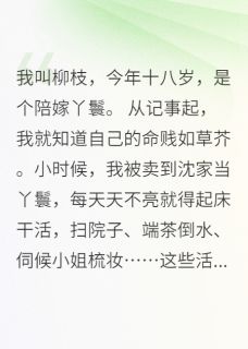 甜9先生的小说替嫁丫鬟：侯爷宠我上瘾全文阅读-暗夜阅读网