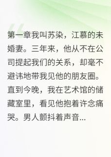 发现他心里住着别人的那晚江慕许念小说全文阅读