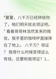 【哥哥给小三转八千万我截胡了】小说在线阅读-哥哥给小三转八千万我截胡了免费版目录阅读全文-暗夜阅读网