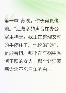精品小说白月光替身？我不做！全文目录畅读