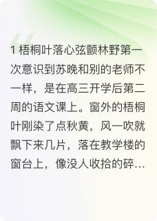 我和语文老师的秘密小说全章节目录阅读BY云端追风完结版阅读