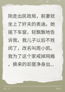 主角是闵沉佟莉的离婚当天，前妻宣布儿子跟外人姓抖音热门小说