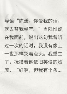 熬夜也要看完的替他坐牢，归来他是新郎我是债主小说推荐
