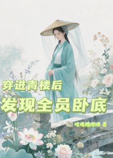 精彩小说沈学士柳清风穿进青楼后，发现全员卧底全文目录畅读