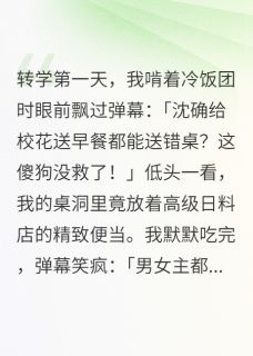 沈确姜晚小说无广告阅读-暗夜阅读网