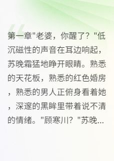重生新婚夜我让偏执总裁倾家荡产抖音全本小说苏晚霜顾寒川抖音免费章节阅读-暗夜阅读网