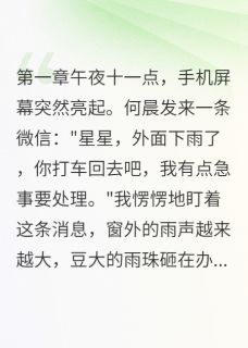 暴雨夜他去接了别的女人快手热推顾言何晨免费阅读