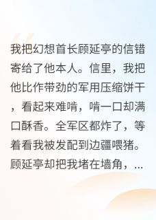 寄错情信后，高岭之花的他缠上我小说(完结)-顾延亭白薇薇无删减阅读-暗夜阅读网