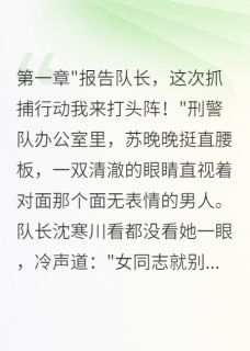 苏晚晚沈寒川八方来财来财财财小说全章节最新阅读-暗夜阅读网