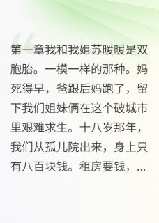 【新书】我和姐姐骗了两个富二代主角沈墨轩江北辞苏晚晚全文全章节小说阅读-暗夜阅读网