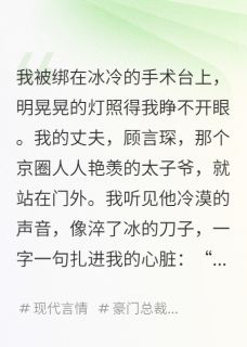 逼我打胎后，京圈太子爷跪求复婚(林哲顾言琛苏念)全文章节在线阅读-暗夜阅读网