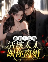 强烈推荐霍总不长嘴，活该太太跟你离婚林苏苏霍北川在线阅读