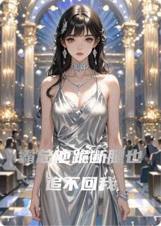 陆聿珩林晚沈砚小说结局