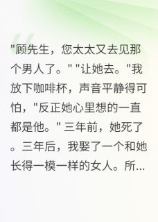 快手热文妻子患癌我捐骨髓，她痊愈后离婚苏暖暖林清音小说推荐-暗夜阅读网