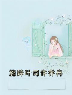 施辞叶司许乔冉完整版免费阅读，施辞叶司许小说大结局在哪看-暗夜阅读网